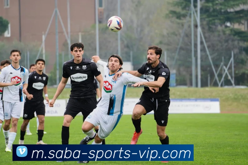 沙巴体育服务体系